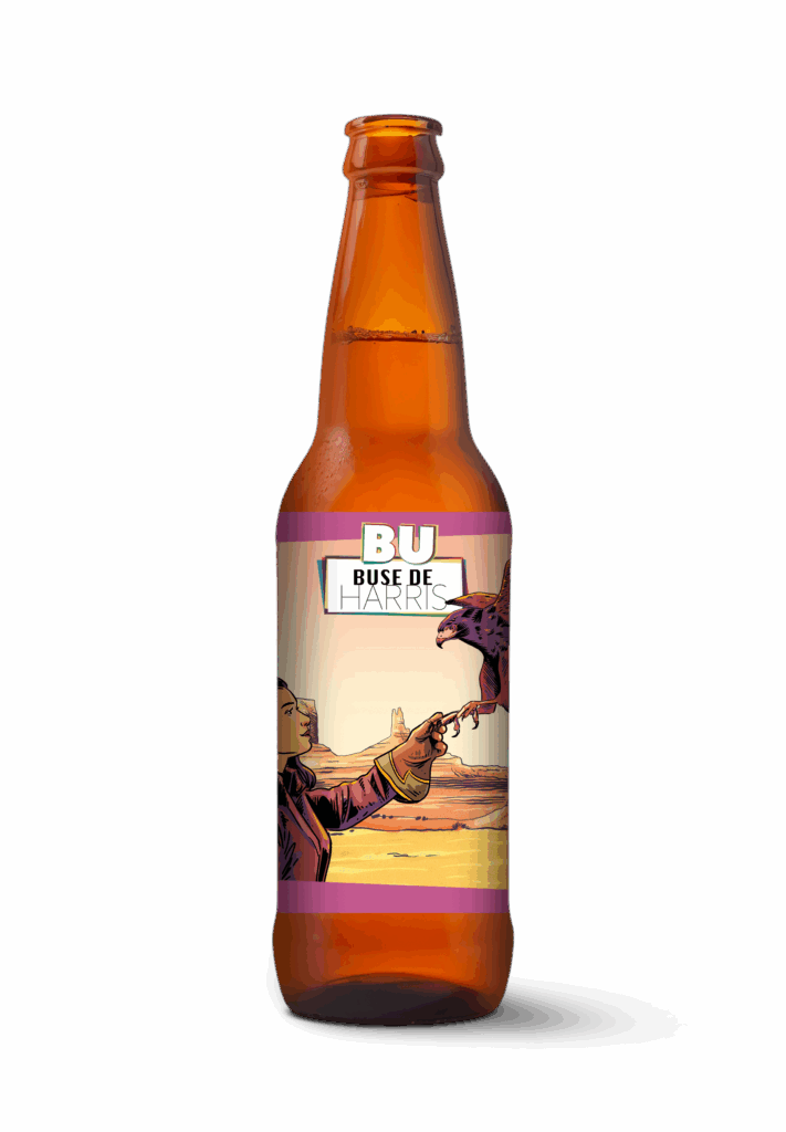 BU Brasserie de l Union Bière face simul buse